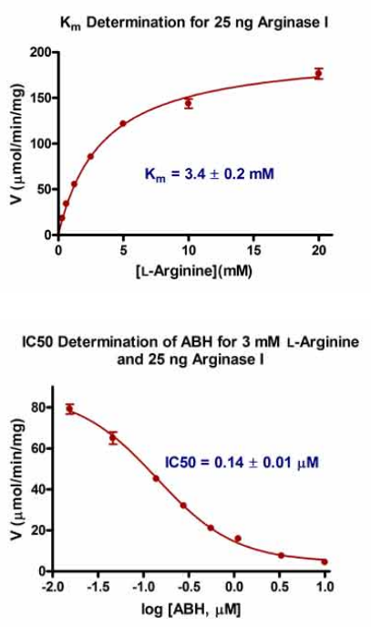 Arginase-Inhibitor-Screening-Servicefig