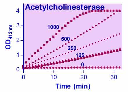 Acetylcholinesterase Assay Kit