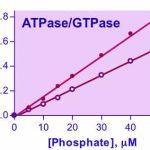 ATPase Assay Kit