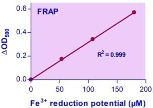 FRAP Assay Kit