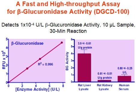 Glucuronidase Assay Kit image