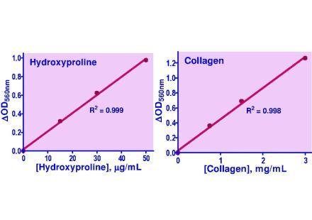 Hydroxyproline assay kit