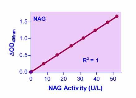 β-N-Acetylglucosaminidase Assay Kit