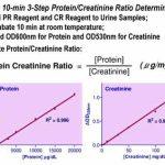 Protein Creatinine Ratio Assay Kit