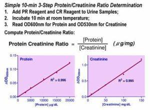 Protein Creatinine Ratio Assay Kit