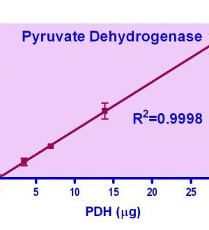 Pyruvate Dehydrogenase Assay Kit