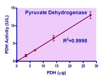 Pyruvate Dehydrogenase Assay Kit