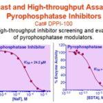 Pyrophosphatase Inhibitor Assay Kit