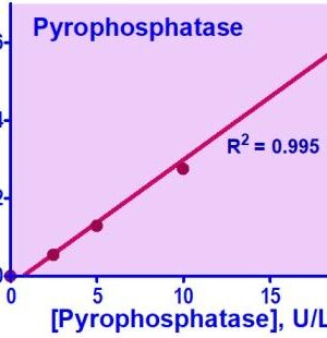 Pyrophosphatase Assay Kit