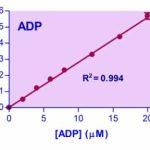 Adenosine Diphosphate (ADP) Assay Kit