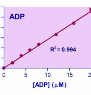 Adenosine Diphosphate (ADP) Assay Kit