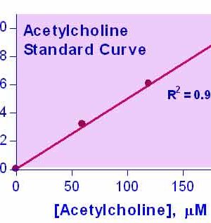 Acetylcholine Assay Kit