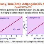 Adipogenesis Assay Kit