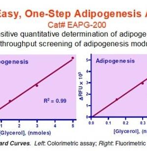 Adipogenesis Assay Kit