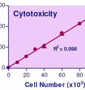 Cytotoxicity Assay Kit