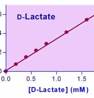 D-Lactate Assay Kit