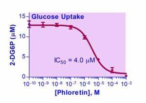Glucose Uptake Assay Kit