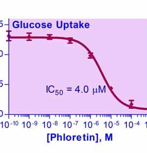 Glucose Uptake Assay Kit