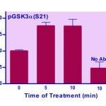 Human/Mouse GSK3A(S21) Phosphorylation ELISA Kit