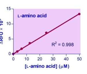 L-Amino Acid Assay Kit