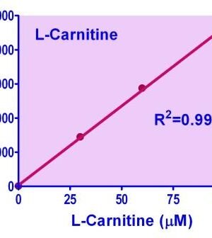 Graph of Fluorescence analysis of L-Carnitine using ELCR-100