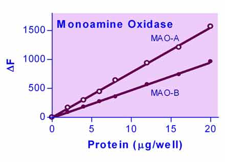 Monoamine Oxidase (MAO) Assay Kit