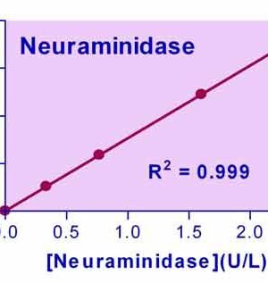 Neuraminidase Assay Kit