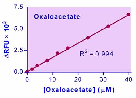 Oxaloacetate Assay Kit