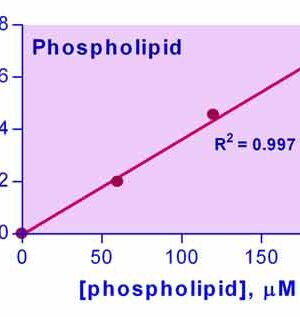 Phospholipid Assay Kit