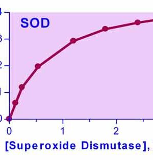 Superoxide Dismutase Assay Kit