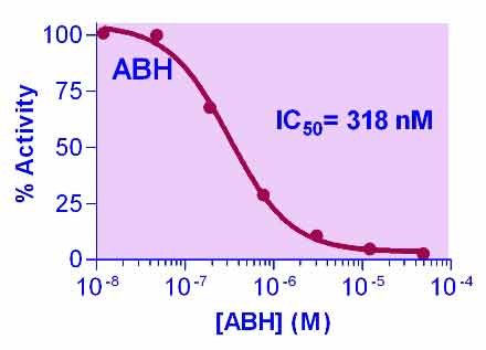 Arginase Inhibitor Screening Kit