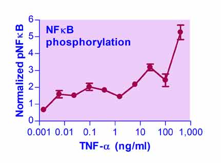 NFKB-Phosphorylation-Status-Screening-Servicefig2