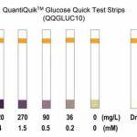 Glucose Quick Test Strips
