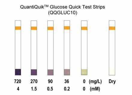 Glucose Quick Test Strips