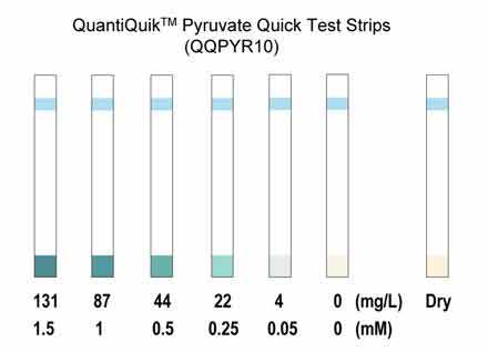 Pyruvate Quick Test Strips
