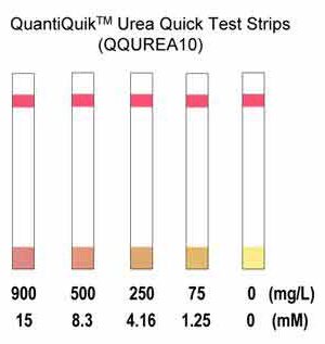 Urea (BUN) Test Quick Strips