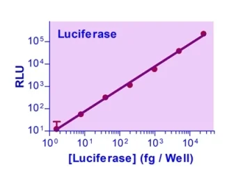 Luciferase Reporter Gene Assay Kit